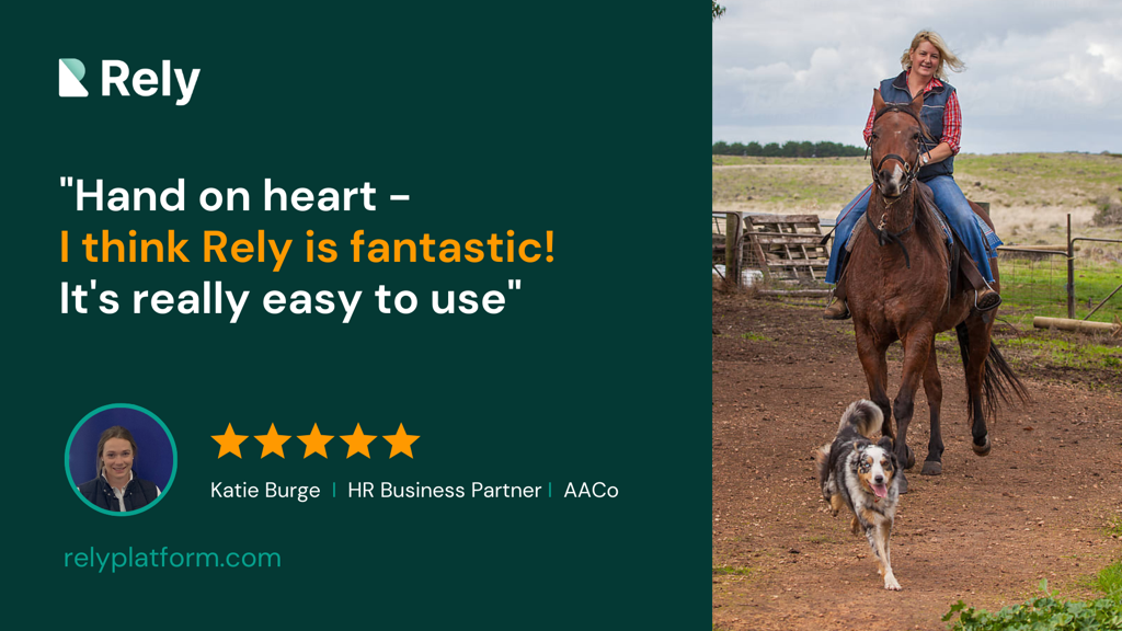 Rely AACo Customer Feedback Rely AACo Customer Feedback